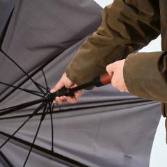 Aretha parasol