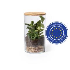 Szklane terrarium