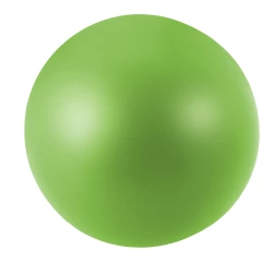 10210006